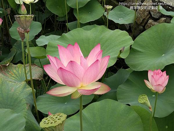 IMG_20220503_102014.jpg IMG_20220503_102014.jpg