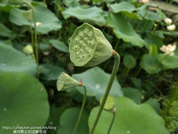 IMG_20220503_102105.jpg IMG_20220503_102105.jpg