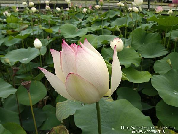 IMG_20220503_102142.jpg IMG_20220503_102142.jpg