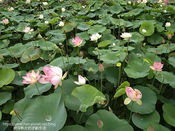 IMG_20220503_102314.jpg IMG_20220503_102314.jpg