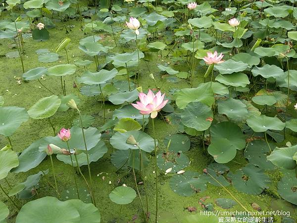 IMG_20220503_102409.jpg IMG_20220503_102409.jpg