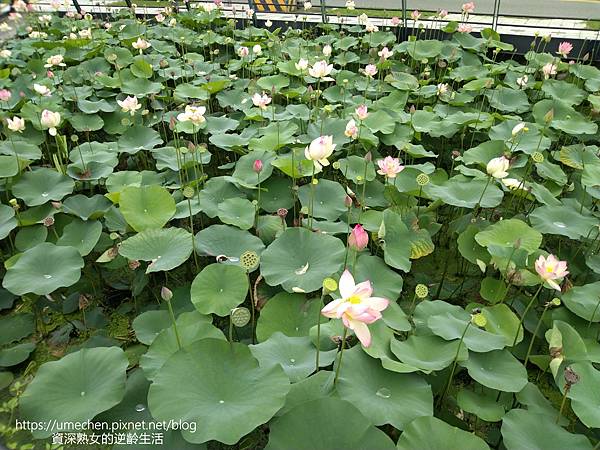 IMG_20220503_102536.jpg IMG_20220503_102536.jpg