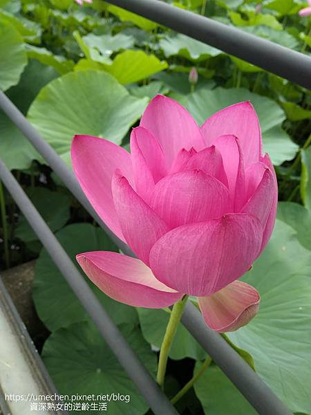 IMG_20220503_103036.jpg IMG_20220503_103036.jpg