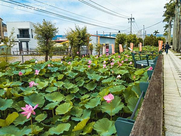 IMG_20220503_103111.jpg IMG_20220503_103111.jpg