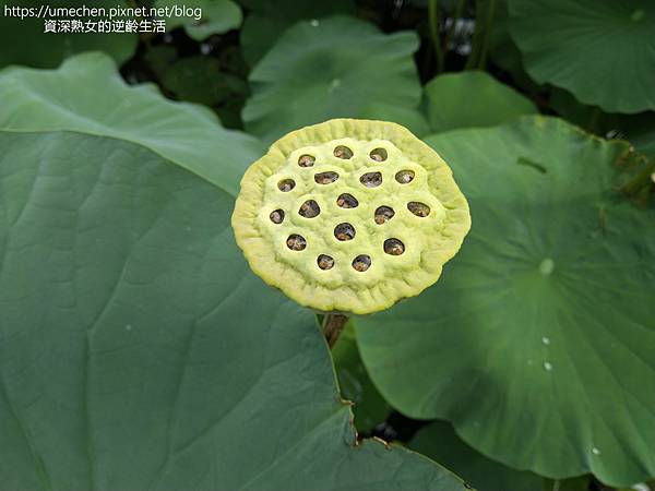 IMG_20220503_103323.jpg IMG_20220503_103323.jpg