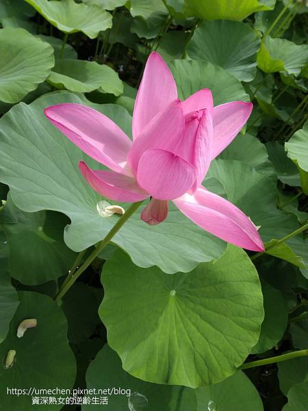 IMG_20220503_103144.jpg IMG_20220503_103144.jpg