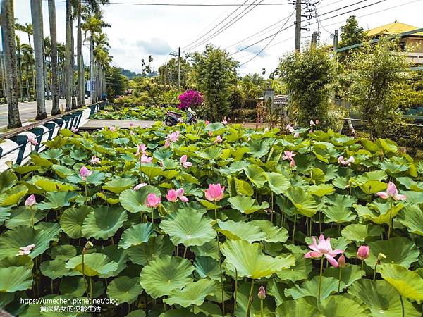 IMG_20220503_103150.jpg IMG_20220503_103150.jpg