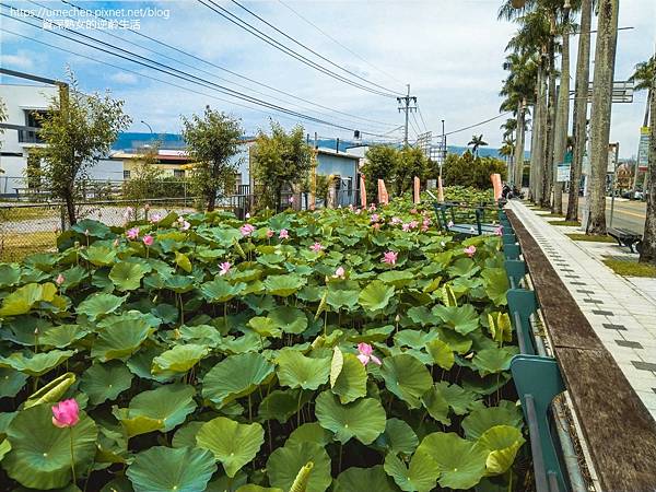 IMG_20220503_103220.jpg IMG_20220503_103220.jpg