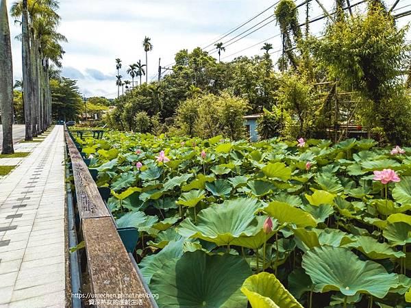 IMG_20220503_103515.jpg IMG_20220503_103515.jpg