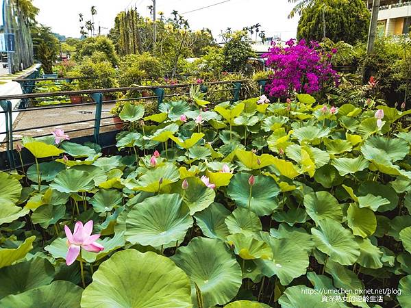 IMG_20220503_103346.jpg IMG_20220503_103346.jpg