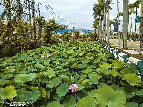 IMG_20220503_103600.jpg IMG_20220503_103600.jpg