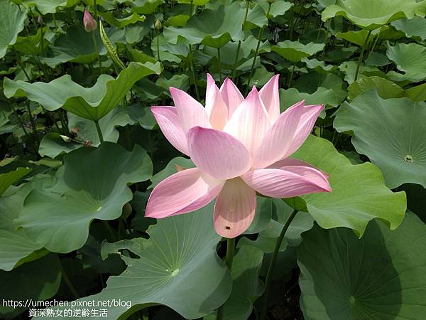 IMG_20220503_103708.jpg IMG_20220503_103708.jpg