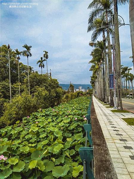 IMG_20220503_103836.jpg IMG_20220503_103836.jpg