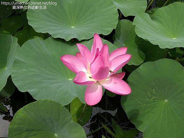 IMG_20220503_103756.jpg IMG_20220503_103756.jpg