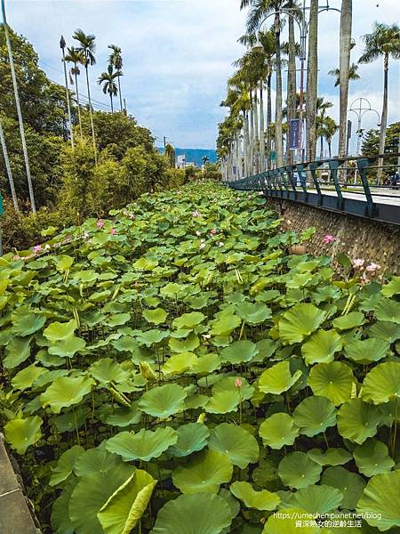 IMG_20220503_103905.jpg IMG_20220503_103905.jpg