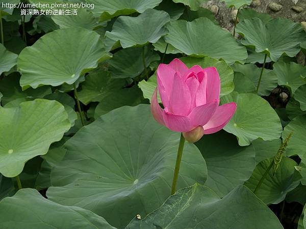 IMG_20220503_103914.jpg IMG_20220503_103914.jpg