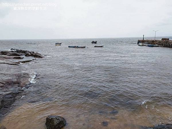 P_20220515_114638.jpg P_20220515_114638.jpg