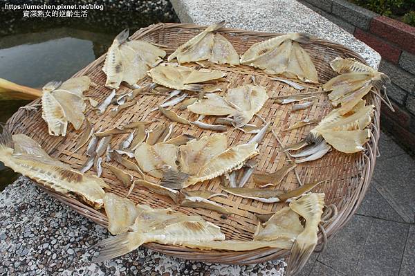 DSC06590.jpg DSC06590.jpg