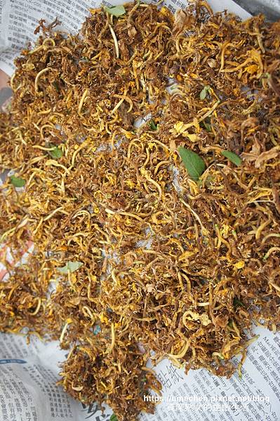 DSC06622.jpg DSC06622.jpg