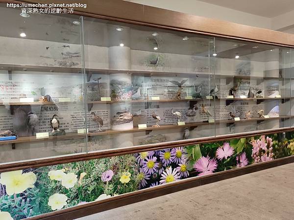 P_20220515_120356.jpg P_20220515_120356.jpg