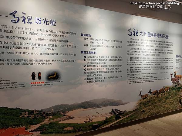 P_20220515_120441.jpg P_20220515_120441.jpg