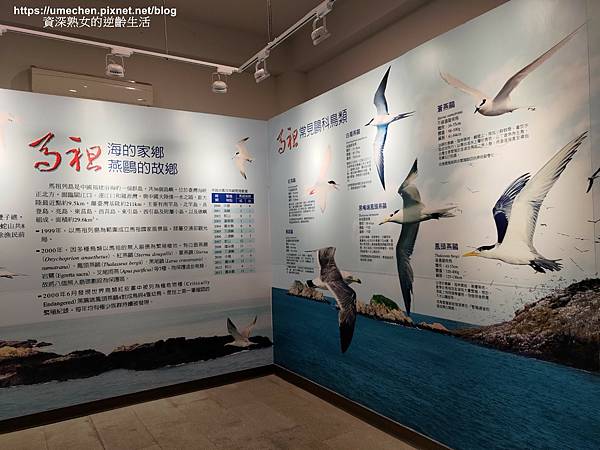 P_20220515_120457.jpg P_20220515_120457.jpg