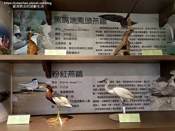 P_20220515_120516.jpg P_20220515_120516.jpg