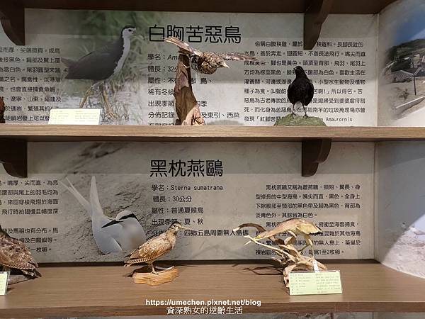 P_20220515_120535.jpg P_20220515_120535.jpg