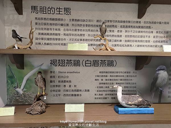 P_20220515_120548.jpg P_20220515_120548.jpg