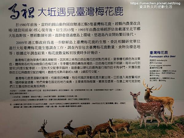 P_20220515_120627.jpg P_20220515_120627.jpg