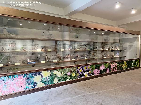 P_20220515_120610.jpg P_20220515_120610.jpg