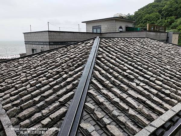 P_20220515_121141.jpg P_20220515_121141.jpg