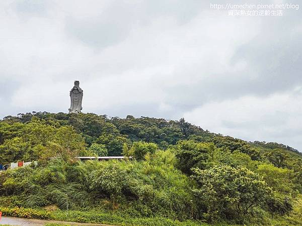 P_20220516_101712.jpg P_20220516_101712.jpg