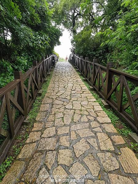 P_20220516_102634.jpg P_20220516_102634.jpg