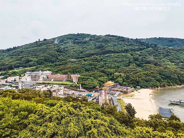 P_20220516_104044.jpg P_20220516_104044.jpg