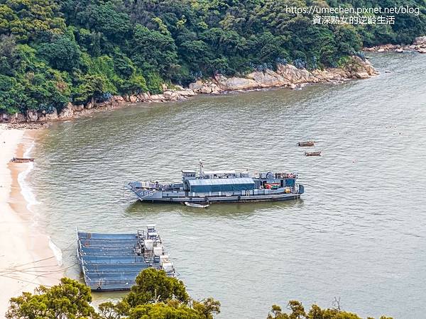 P_20220516_104109.jpg P_20220516_104109.jpg