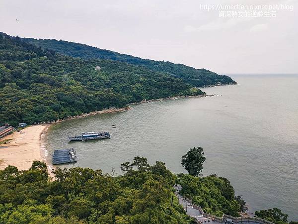 P_20220516_103949.jpg P_20220516_103949.jpg