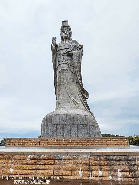 P_20220516_104311.jpg P_20220516_104311.jpg