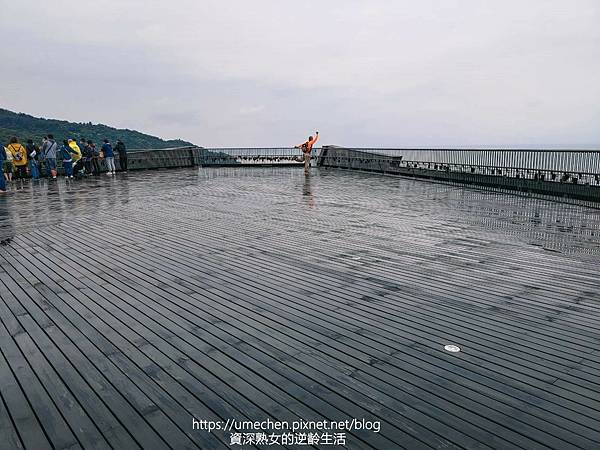 P_20220516_104455.jpg P_20220516_104455.jpg