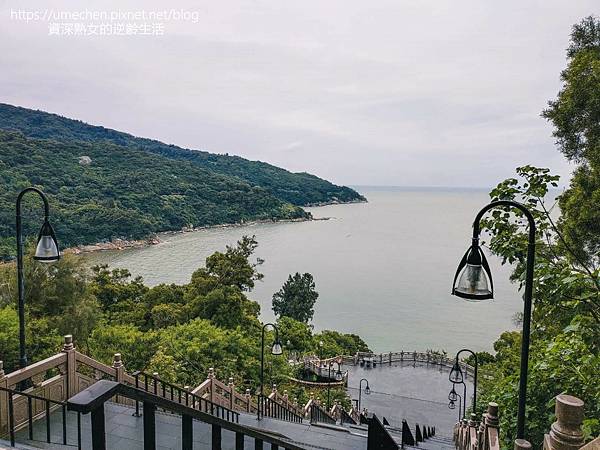 P_20220516_105417.jpg P_20220516_105417.jpg