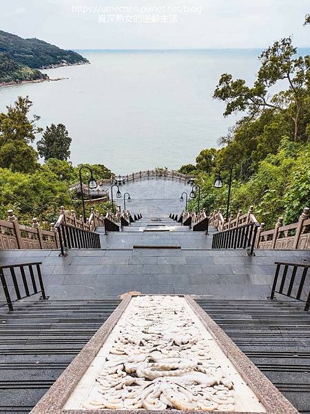 P_20220516_105405.jpg P_20220516_105405.jpg