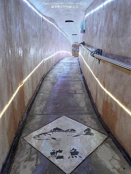 P_20220516_110302.jpg P_20220516_110302.jpg