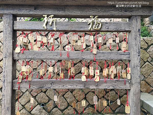 P_20220516_105508.jpg P_20220516_105508.jpg