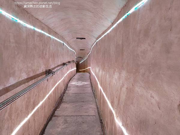 P_20220516_110339.jpg P_20220516_110339.jpg