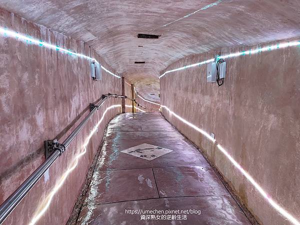 P_20220516_110655.jpg P_20220516_110655.jpg