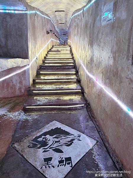 P_20220516_110757.jpg P_20220516_110757.jpg