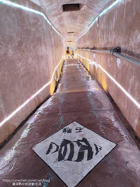 P_20220516_110702.jpg P_20220516_110702.jpg