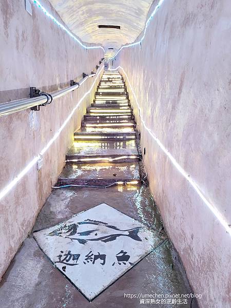 P_20220516_110904.jpg P_20220516_110904.jpg