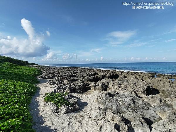 P_20220828_075751.jpg P_20220828_075751.jpg