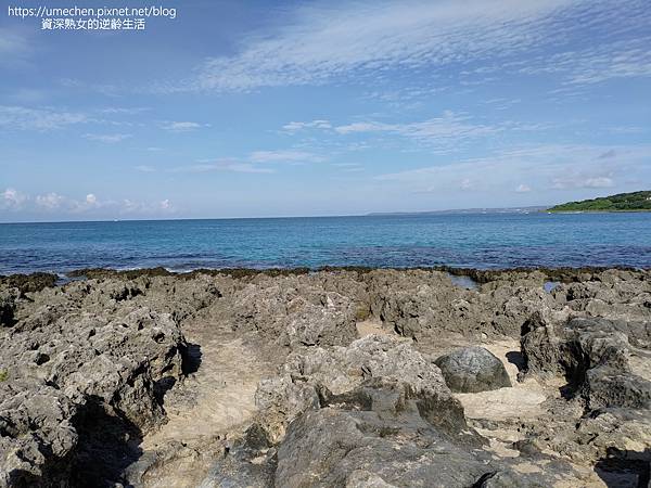 P_20220828_075814.jpg P_20220828_075814.jpg